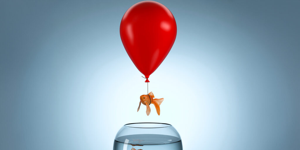 image of goldfish floating above its water bowl | permacrisis