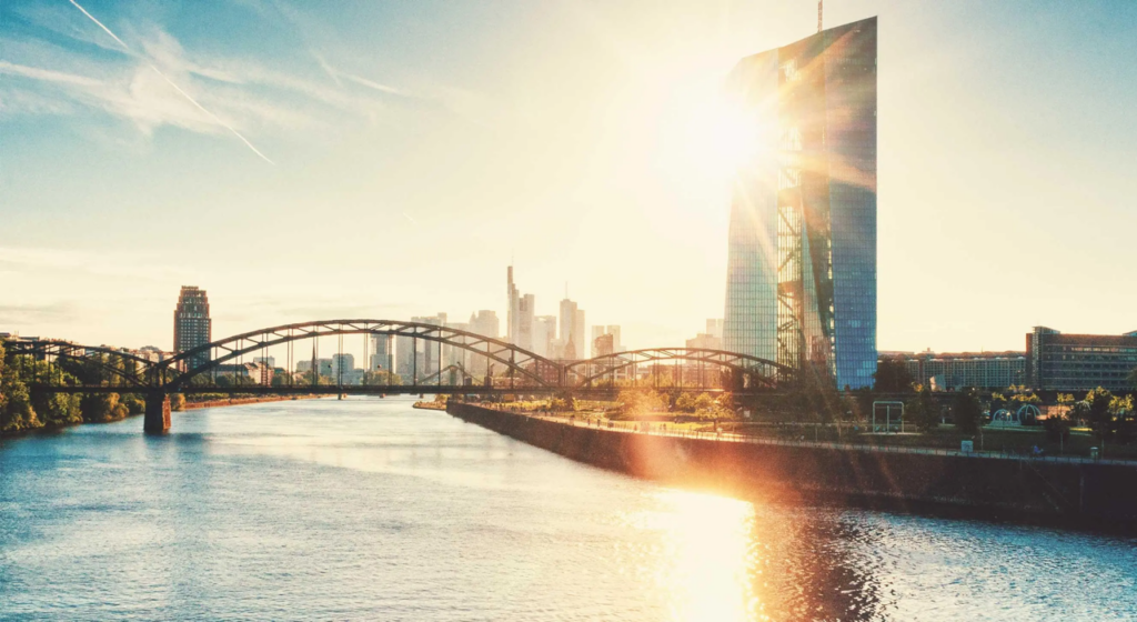 scenery picture of bridge and city